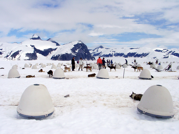 sled dog huts